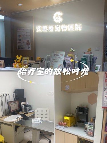 宠物医院初体验