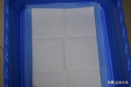 宠物尿垫哪面朝上,宠物尿垫使用方法