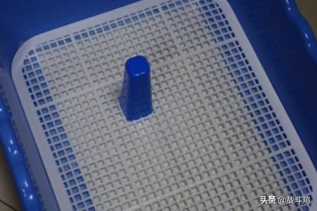 宠物尿垫哪面朝上,宠物尿垫使用方法