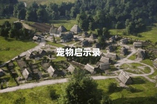 宠物启示录