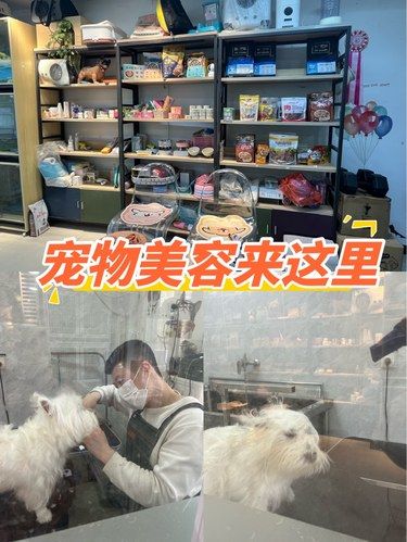 毛孩洗澡首选性价比和服务都很赞