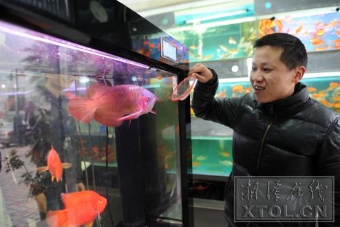 周远翔和他的海洋小世界