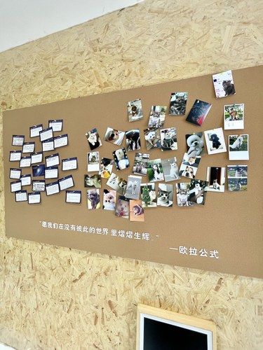 春春，下辈子一定还要来我家里