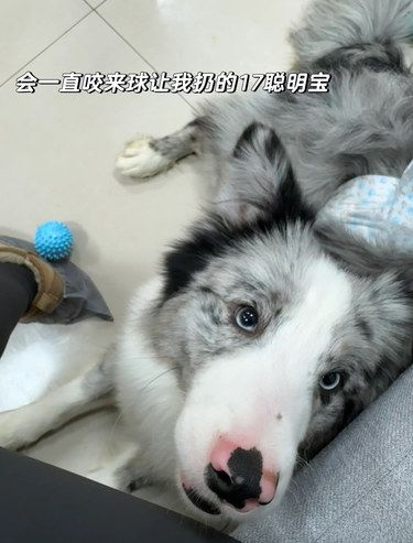 治愈进行时～