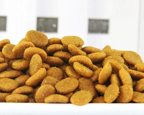 探寻郑州狗粮批发市场的地理位置和优质资源（一窥宠物食品行业的发展和市场趋势）