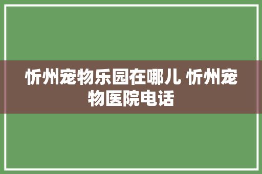 忻州宠物乐园在哪儿 忻州宠物医院电话