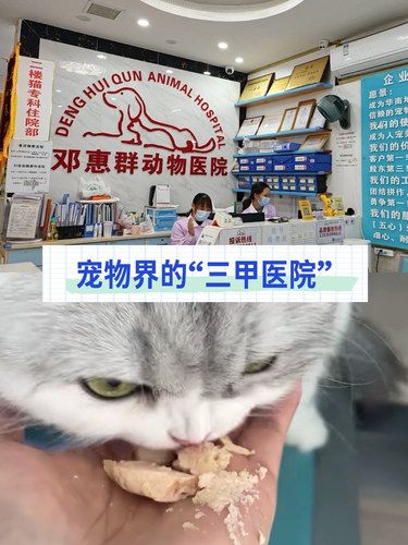 宠物界的“三甲医院”