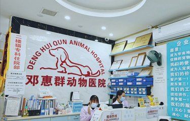 带着毛孩子旺财体检的一天