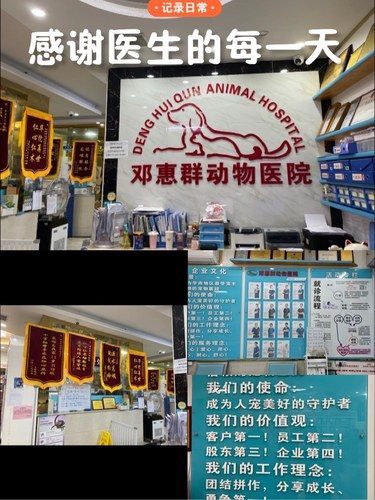感谢医生的每一天