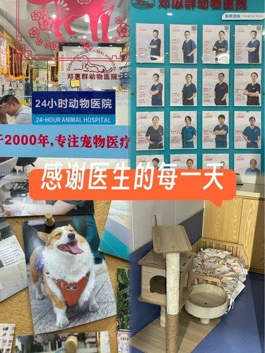 邓惠群动物医院｜小宠主的放心选择[害羞]