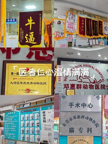 医术超赞 医心更美~