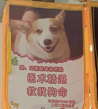 良心动物医院