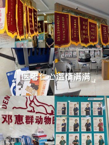 安心陪诊服务，我体验了