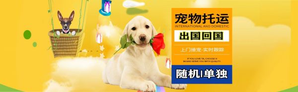 快递公司收费标准