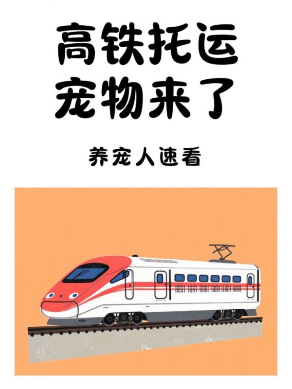 国内出行交通