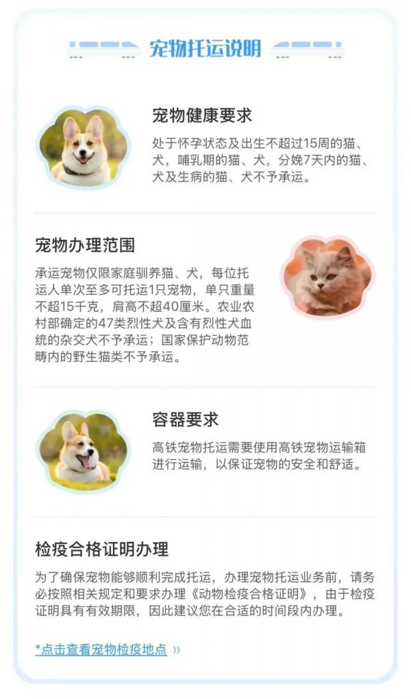 上海虹桥等5座车站间的10趟高铁列车今起试点！宠物猫狗能坐高铁了，全网欢呼支持