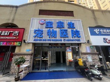 三栋镇7年没有宠物医院终于开了！
