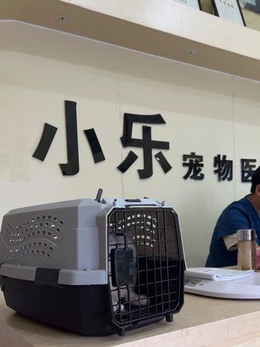 医术超赞 医心更美~