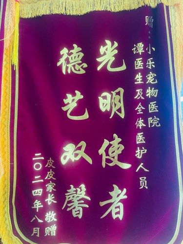 宠物健康守护者
