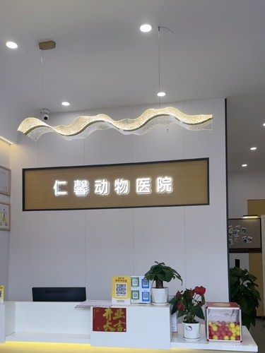 在新都！就是这家新开的宠物医院让我…