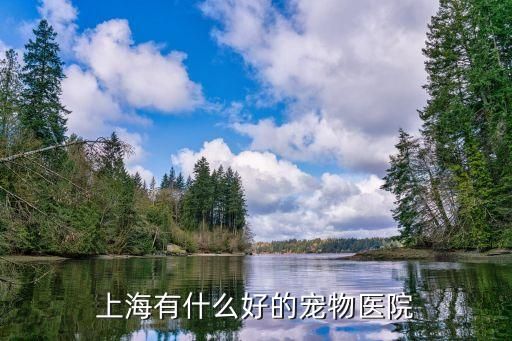 上海有什么好的宠物医院