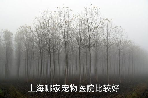 上海哪家宠物医院比较好