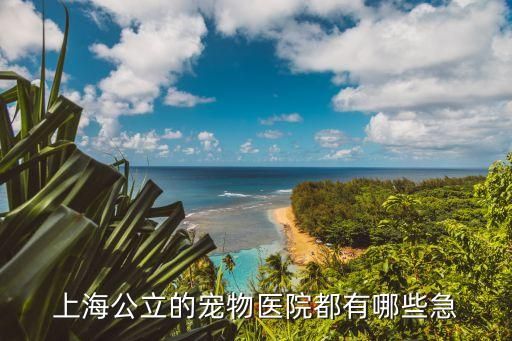 上海公立的宠物医院都有哪些急