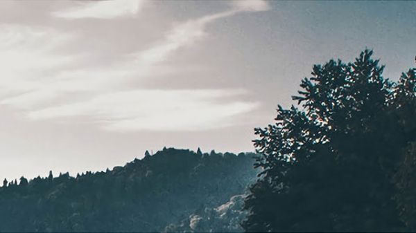 坐高铁上怎么带宠物狗（坐高铁上怎么带宠物）