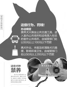宠物身份证：你需要知道的一切？如何申请、使用、管理宠物身份证