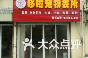 盐城宠物：了解盐城市宠物市场现状？盐城市宠物店排行榜