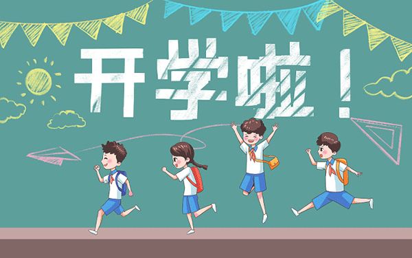 盐城猫咪培训哪里好