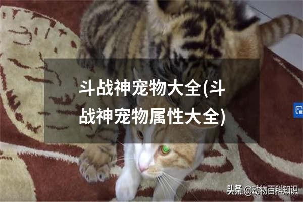 斗战神宠物大全(斗战神宠物属性大全)