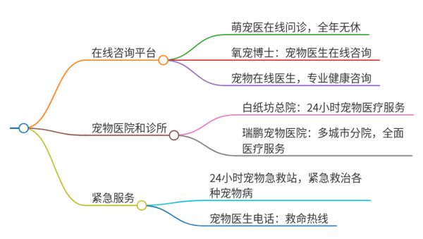 咨询宠物医生在哪里咨询