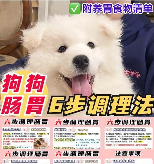 合理喂食，健康陪伴——养狗必备的喂养注意事项（宠物狗饮食需求的认知与实践）