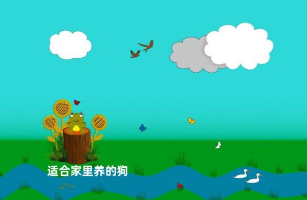 适合家里养的狗
