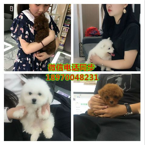 盐城周边哪里有靠谱的店：资讯