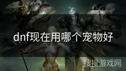 dnf现在用哪个宠物好