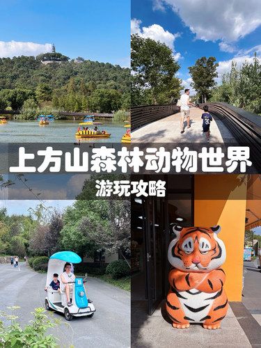 苏州遛娃｜上方山森林动物世界游玩攻略❗️
