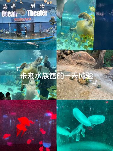 海底世界的奇遇