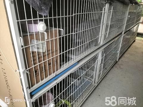商丘宠物用品/食品·两层三层笼子。可养猫养狗。