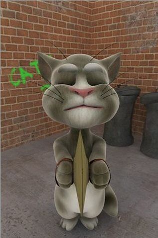 会说话的汤姆猫电脑版