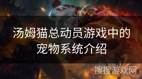 汤姆猫总动员游戏中的宠物系统介绍
