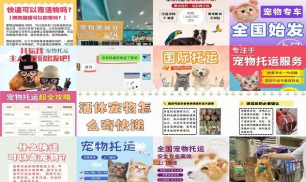 宠物能寄快递吗