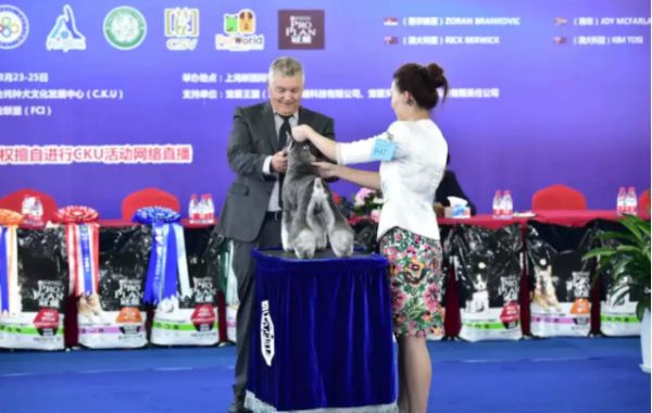 微信截图_20200725154632.png