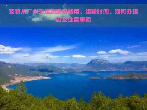 宠物从广州空运到武汉费用、运输时间、如何办理以及注意事项