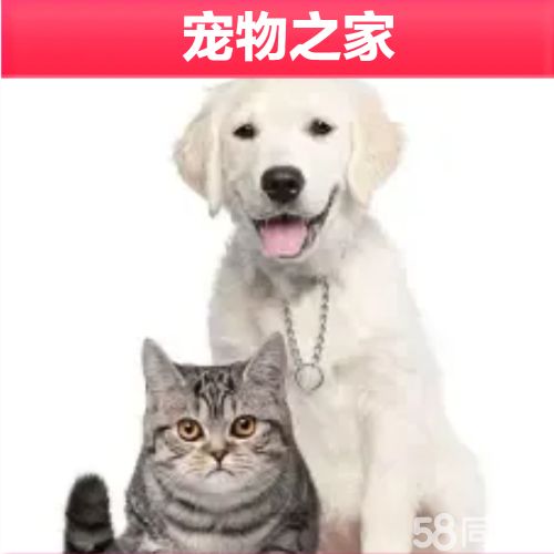 店主头像