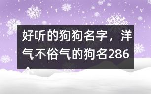好听的狗狗名字，洋气不俗气的狗名286个