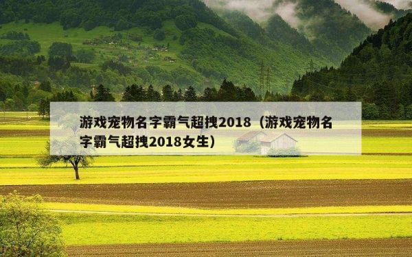 游戏宠物名字霸气超拽2018（游戏宠物名字霸气超拽2018女生）