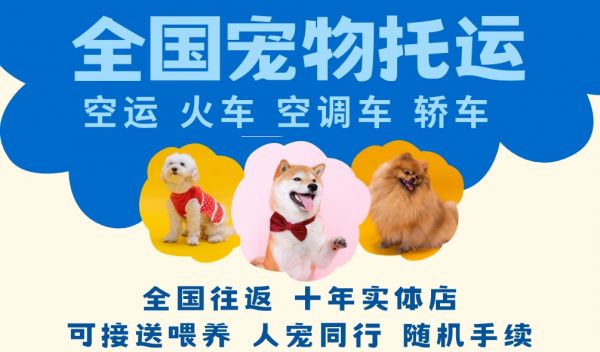 深圳全国宠物托运空运火车空调宠物专车 人宠同行单独托运中途喂养十年店