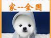 深圳本土宠物托运。十年托运经验,安全可靠,放心之选!